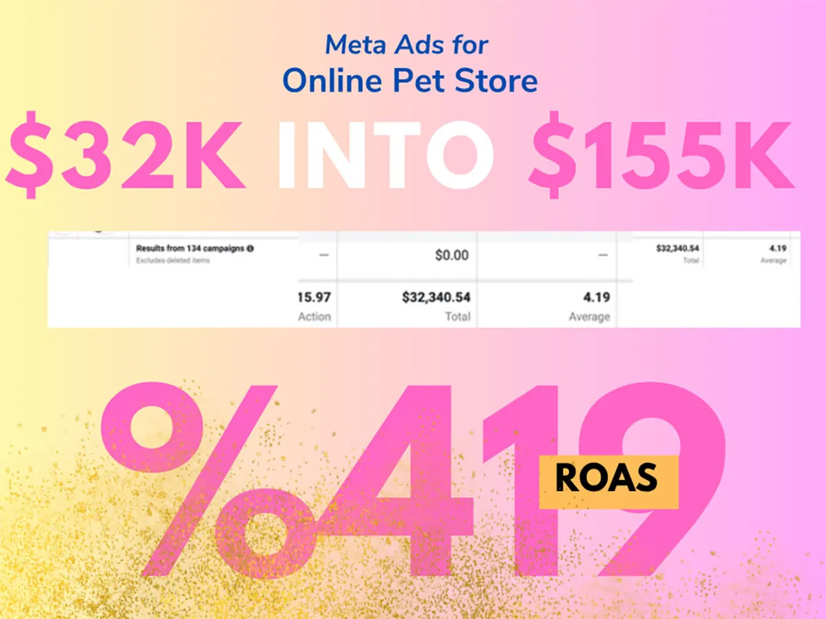 Meta Ads case study results