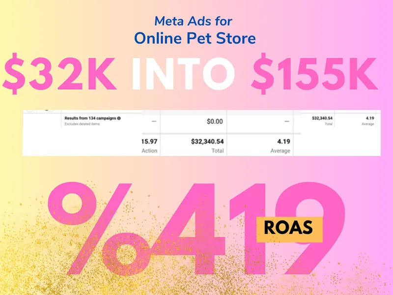 Meta Ads case study results